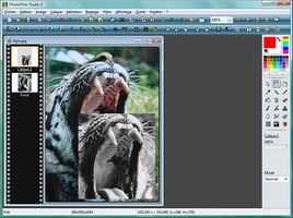PhotoFiltre Studio screenshot 1