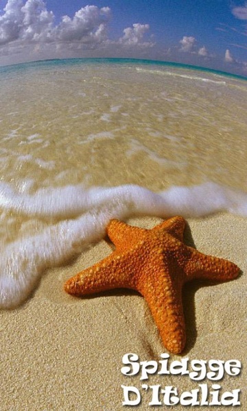 Beaches Puglia Free - Preview 1