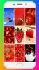 Strawberry Wallpaper HD screenshot 16