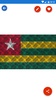 Togo Flag Wallpaper: Flags, Co screenshot 3