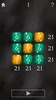 XXI: 21 Puzzle Game screenshot 13
