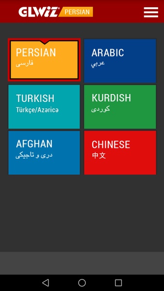 GLWiz Mobile - Preview 9