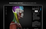 Anatomyka - 3D Anatomy Atlas screenshot 10
