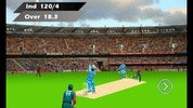 I P Lead Cricket screenshot 6