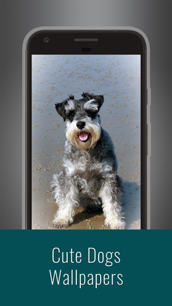 Cute Dogs Wallpapers - Preview 1