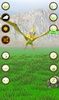 Talking Flying Pterosaur screenshot 16