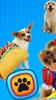 Funny Dog Costumes screenshot 5