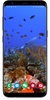 Real Aquarium Live Wallpaper screenshot 1