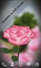 3D Rose Live Wallpaper Free screenshot 1