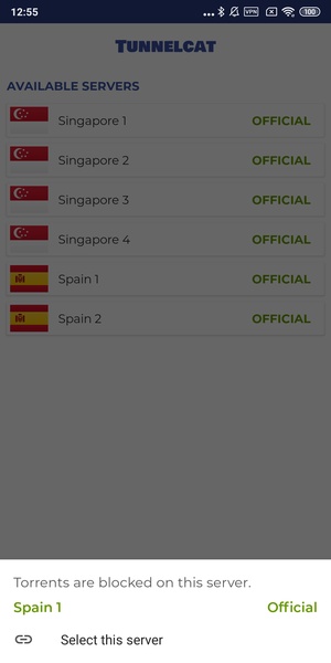 TunnelCat VPN - Preview 7
