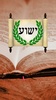 Hebrew Greek and English Bible screenshot 4