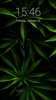 Weed Rasta Pattern Lock Screen screenshot 8