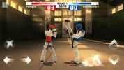 Taekwondo screenshot 6