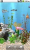 aniPet Freshwater Aquarium (free) Live Wallpaper screenshot 2