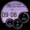 SG-61 screenshot 5