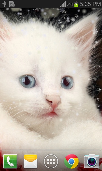 Christmas Cat live wallpaper - Preview 4