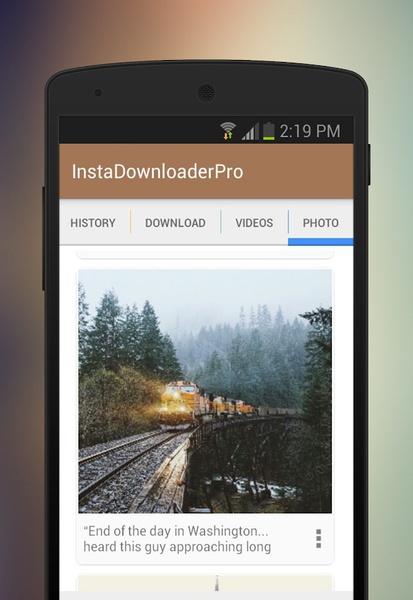 InstaDownloader - Preview 2