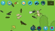 위대한 개미왕국 screenshot 10