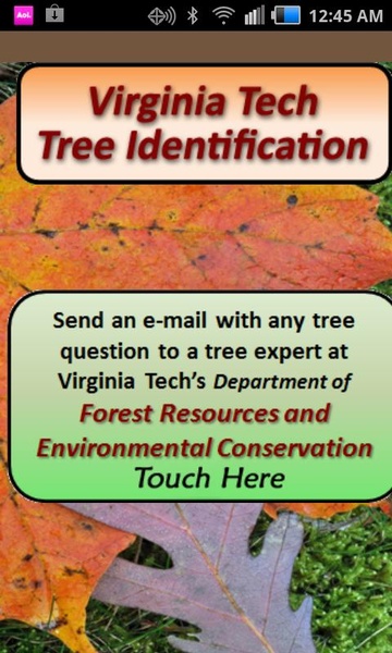 VT Tree ID - Preview 1