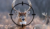 Deer Hunting Free Sniper Tips screenshot 2