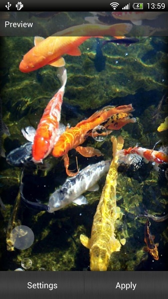 Koi Fish Live Wallpaper - Preview 2