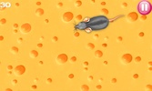Cat Mouse Toy screenshot 1