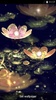 Water Lotus Lantern screenshot 3