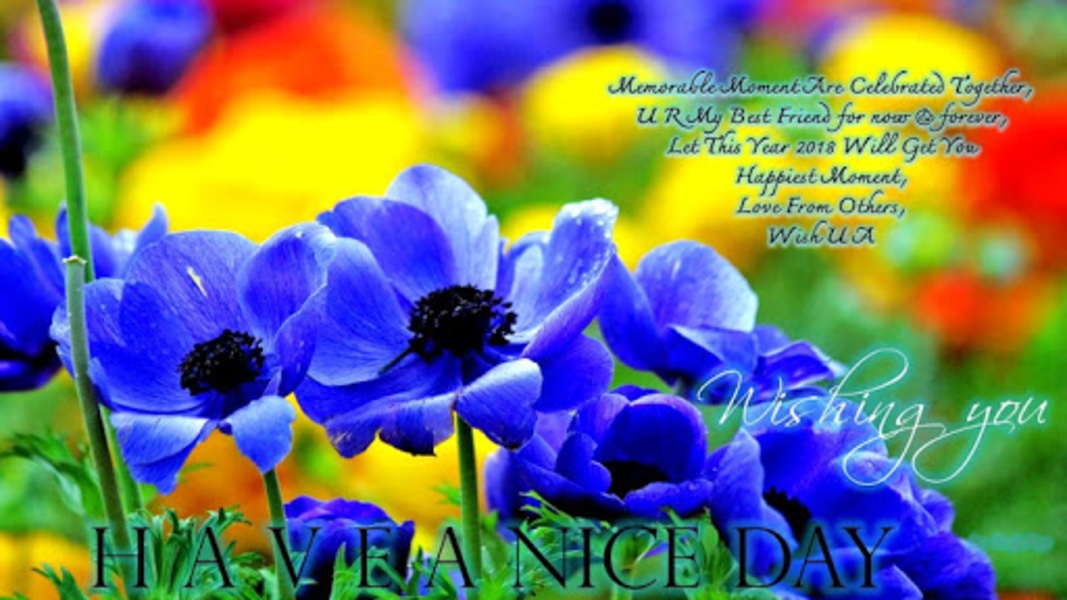 Good Morning Image - Preview 7