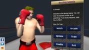 Boxing Mania screenshot 6