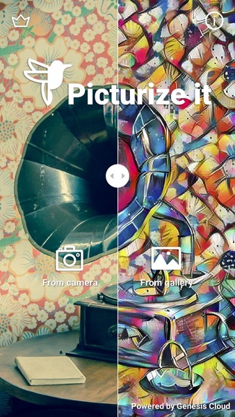 Picturize It - Preview 9