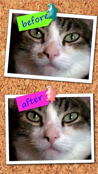 Photo Hacker Copy Paste Editor - Preview 8
