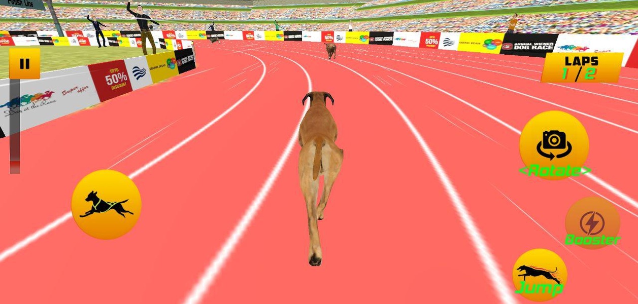 Dog Race 2019 - Preview 8