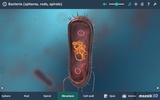 Bacteria interactive educational VR 3D screenshot 2