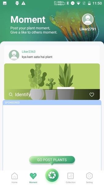 Plant Lens - Preview 10