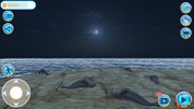 Seal Island screenshot 5