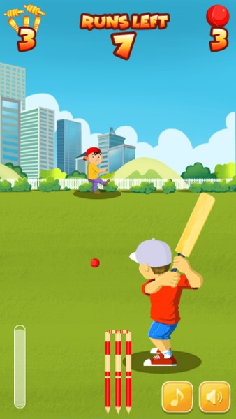 Street Cricket - Preview 14