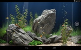 aquarium screenshot 1