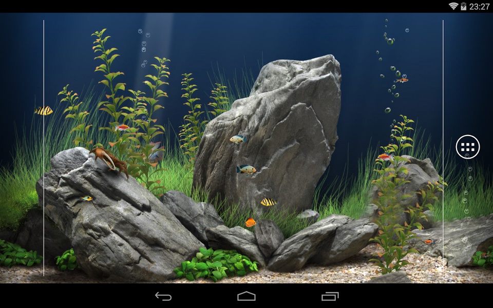 aquarium - Preview 1