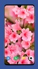 Beautiful Spring Wallpaper 4K screenshot 7