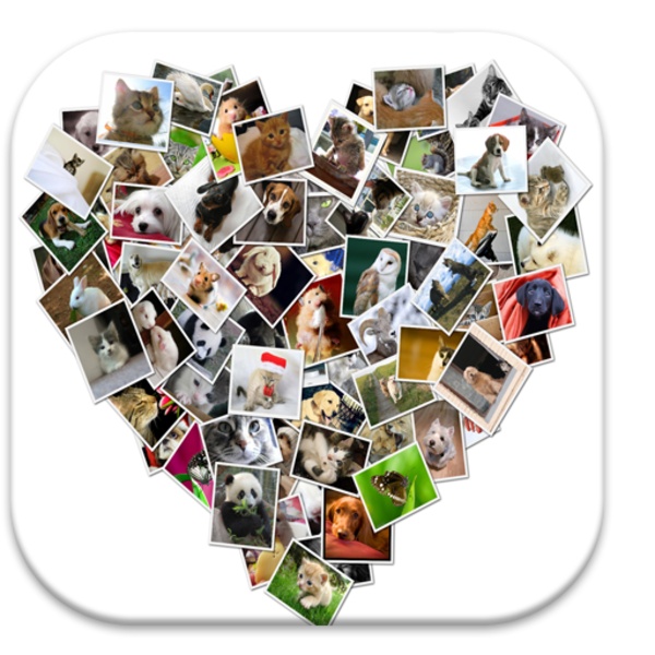 ANIMALPHOTOCOLLAGEMAKER - Preview 6