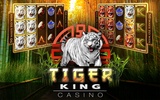 Tiger King Casino Slots screenshot 5