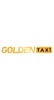 Golden Taxi screenshot 4