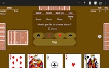 Euchre screenshot 9