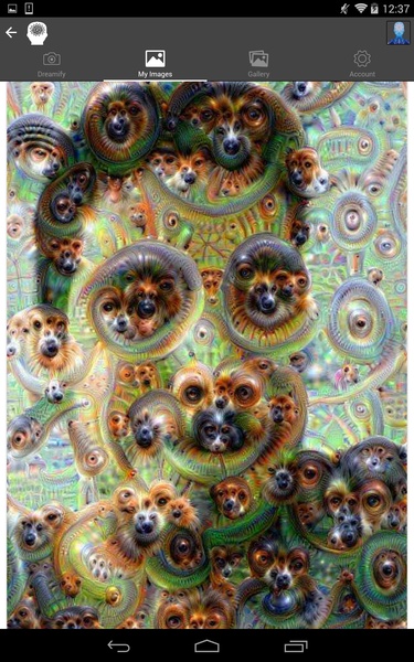 Dreamify - Preview 4