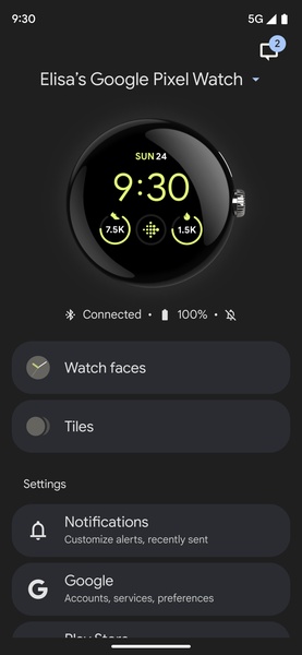 Google Pixel Watch - Preview 2