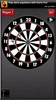 Darts Pro Free screenshot 1