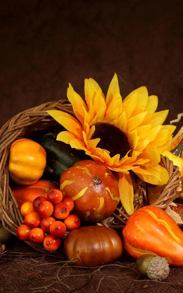 Thanksgiving Live Wallpaper - Preview 5