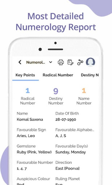 Kundli Software - Preview 17