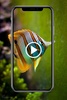 Fish Video Wallpaper screenshot 1