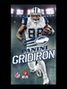 NFL Gridiron from Panini screenshot 5